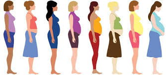 Image result for pregnancy