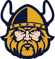It is a very clean transparent background image and its resolution is 978x288 , please mark the image source when quoting it. Viking Logo Png