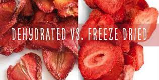 dehydrated vs freeze dried food