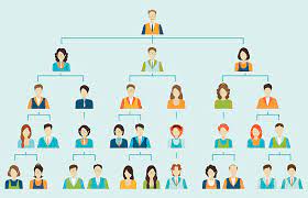 what is organizational charts 4 types