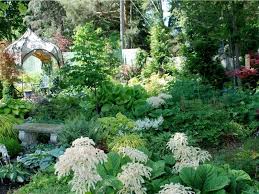 Shade Gardening Beyond Hostas