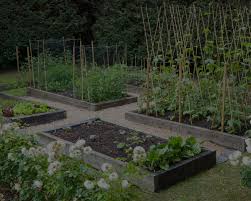 How To Build Raised Bed Garden Boxes