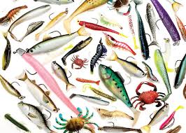 Choosing Soft Plastic Lures Salt