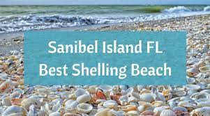 Great offer for your next stay. Sanibel Island Fl The World S Best Shelling Beaches Beach Bliss Living