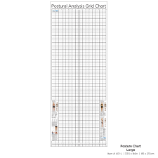 Large Wall Posture Analysis Chart