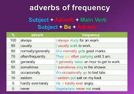 Tara, how often do you do your homework? Adverb Of Frequency Mingle Ish