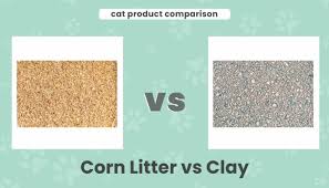 corn litter vs clay our 2024
