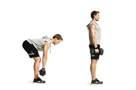 Full Body Dumbbell Circuit Strengthening And Weight Misfortune
