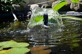 Keep Mosquitoes Away From Your Pond