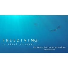 on the road | @acionk #freedive #quotes #JacquesMayol... via Relatably.com