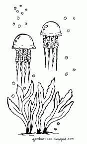 Sebgaian besar hewan yang bertubuh transparan adalah ubur ubur. Mewarnai Gambar Ubur Ubur Contoh Gambar Mewarnai Gambar Flora Dan Fauna Gambar Hewan Sketsa