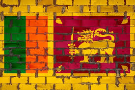 National Flag Sri Lanka Depicting Paint