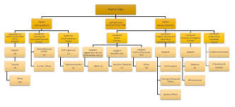 Organizational Chart Town Of Wake Forest Nc