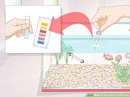 How To Test Ph In A Fish Tank 9 Steps With Pictures Wikihow
