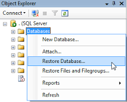 re database in sql server 2008 r2