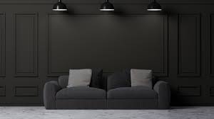 Cozy Dark Grey Sofa Over Black Wall Panels