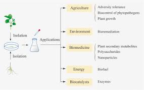 However, i cannot get any log info from it. Production Of Bioproducts By Endophytic Fungi Chemical Ecology Biotechnological Applications Bottlenecks And Solutions Springerlink