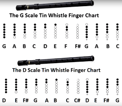 G Vs D Comparison Tin Whistle Finger Chart In 2019 Tin