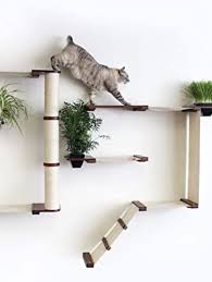 modern cat trees to entertain your cat
