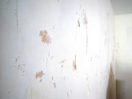 remove wallpaper glue from plaster