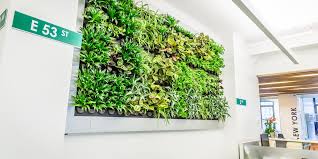 Epic Living Walls And Plant Frames
