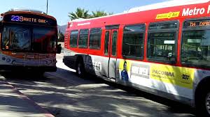 mta bus line 239 and rapid bus line 734