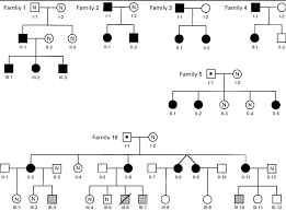 Pedigrees Of Six Families With Progressive Osseous