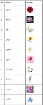 40 flowers name in hindi फ ल क न म
