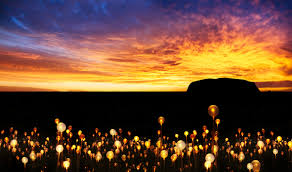 Ulurus Field Of Light Shines On Into 2020 Travel Weekly