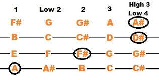 5 Fiddle Chords For Beginners To Start With Stringvibe
