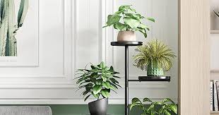 37 best plant stands 2022 the strategist