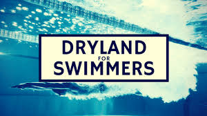 dryland for swimmers swimming science