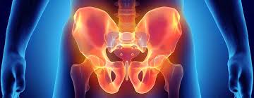 pelvic floor physio for males ascent