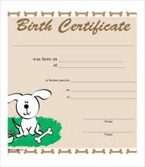 Sample Birth Certificate Templates 6 Free Word Pdf Documents