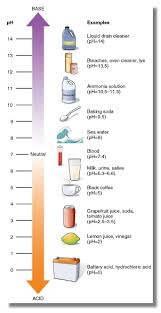 In this worksheet, we will practice defining ph as a logarithmic measure of acid concentration and using it to determine the relative acidity or calcium carbonate will produce a fizz of carbon dioxide when added to lemon juice. Ph Scale