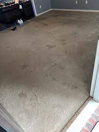 carpet cleaning services extreme