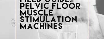 field guide pelvic floor muscle