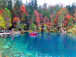 lake blausee in the midst of a magical