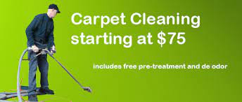 evergreen carpet cleaning carpet cleaners