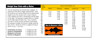 Weigh Your Fish With A Ruler