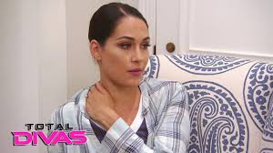 nikki bella compares ts with brie