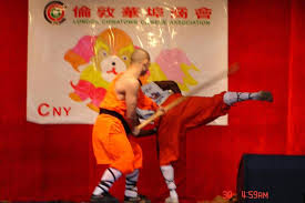 shaolin daolu tai chi and shaolin kungfu
