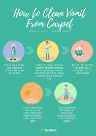 clean vomit from your carpet