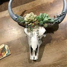 Cow Skull Wall Decor Large Succulent