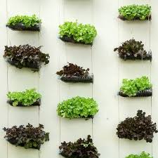 Diy Vertical Garden Ideas 16 Creative