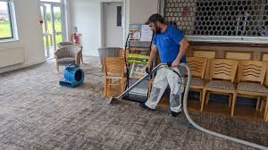 carpet cleaning ludlow carpetprocleaning