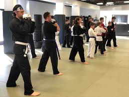 martial arts and karate cles