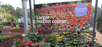 new thinking in garden retail the