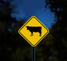 for cattle crossing sign bannerbuzz