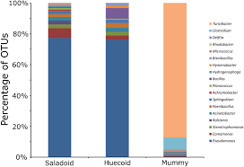 Bar Charts Representing Bacterial Taxonomy Based On 16s Rrna